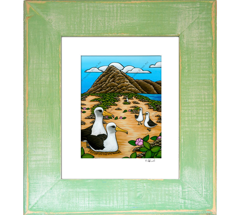 Albatross at Ka'ena Point - Framed Matted Print by Heather Brown