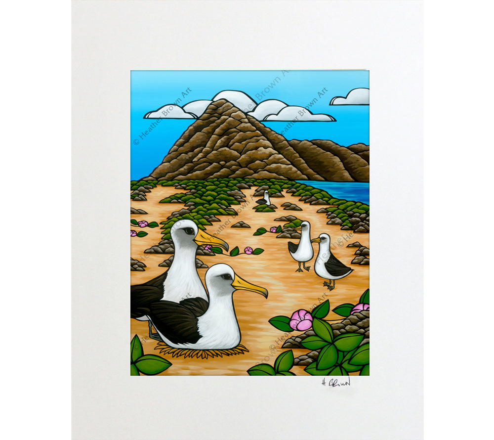 Albatross at Ka'ena Point - Matted Print by Heather Brown