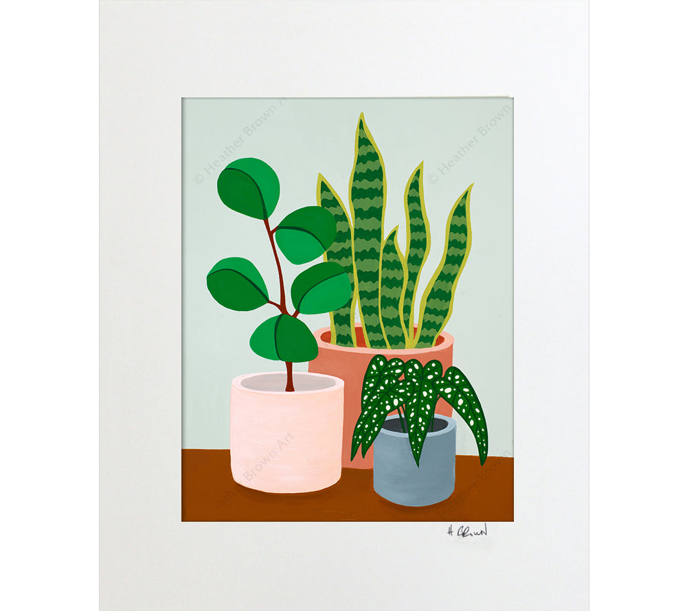 Plant #2602 - Matted Print by Heather Brown