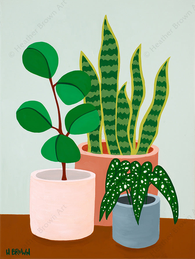 Plant #2602 - Painting of a beautiful potted plant still life with serene foliage by tropical artist Heather Brown